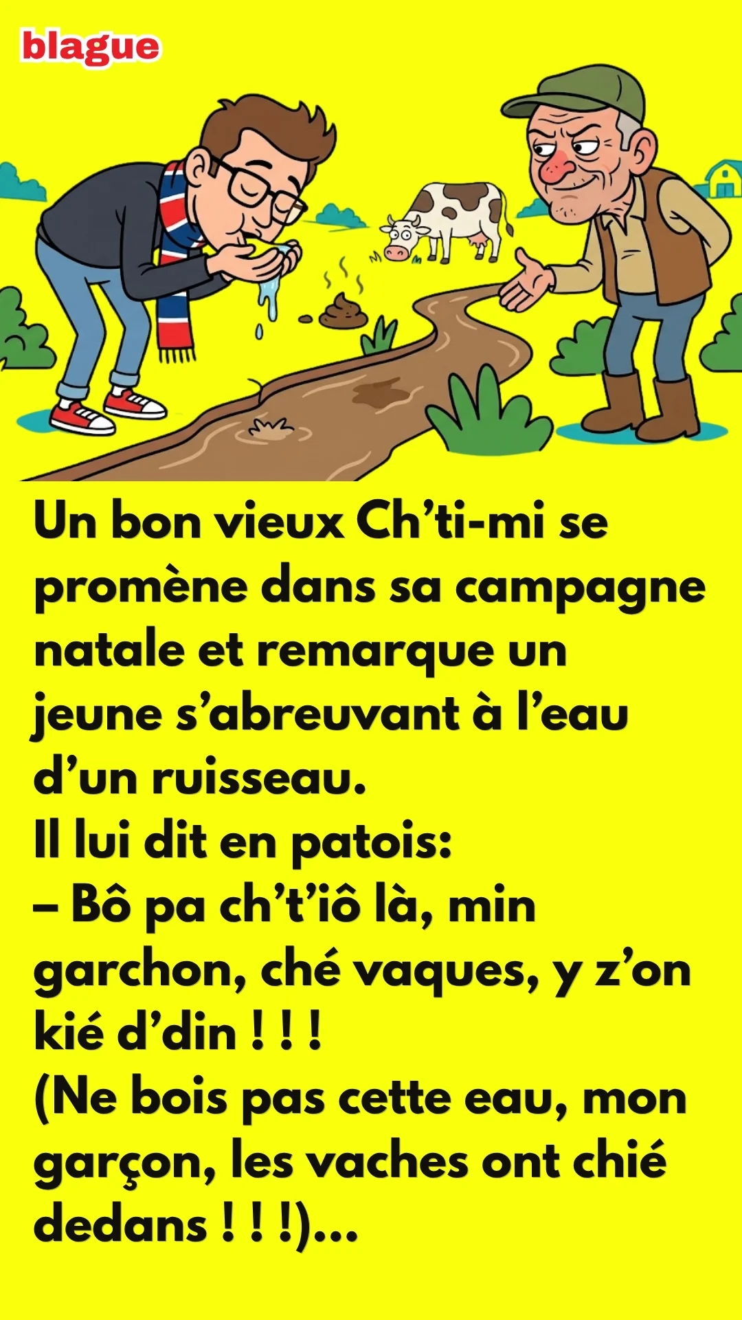 BLAGUE SUR CONSEIL DE CH’TI