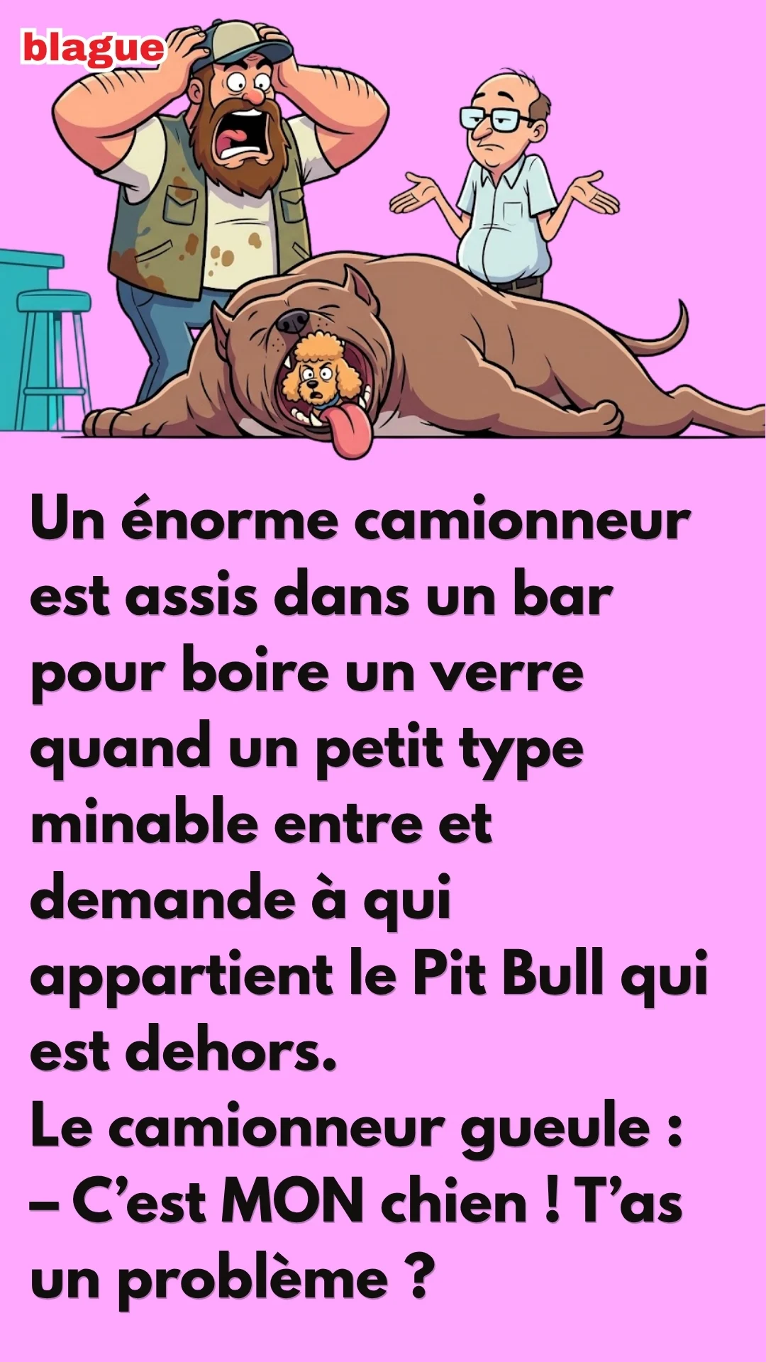 BLAGUE SUR LE PIT BULL